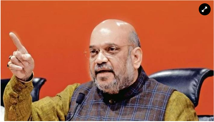 Plastic waste kills cows: Amit Shah